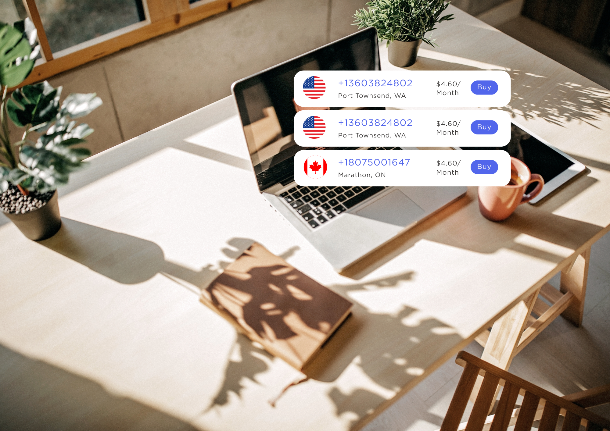 USA Virtual Phone Number